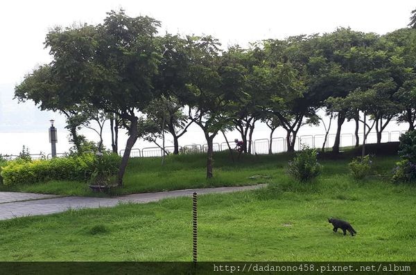 40622707_1004270033077756_4279205904190013440_n