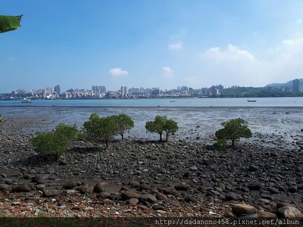 40573163_1004273119744114_3579644100623728640_n