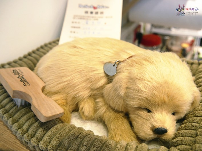 新竹美食,宇治金時,抹茶,糰子,年糕紅豆湯,抹茶控,新豐美食,日日食冰