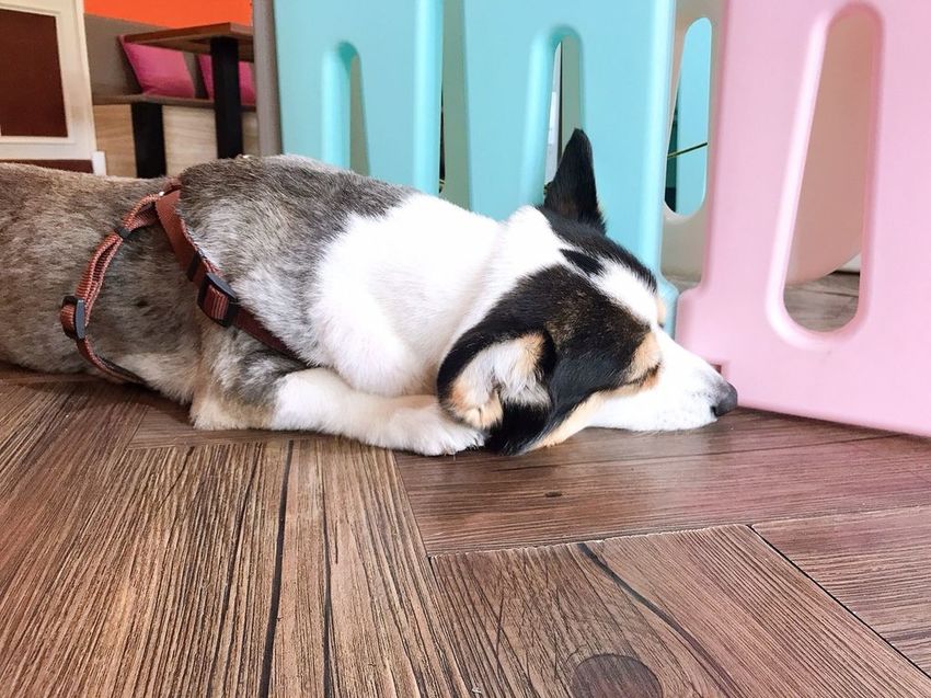 Eat enjoy_200816_0048.jpg