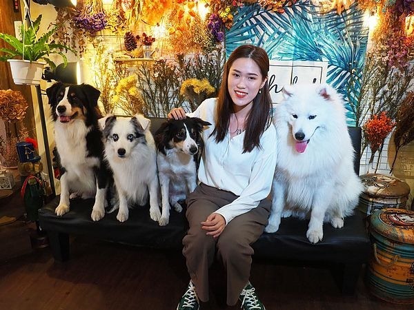 桃園中壢美食-食。光機  Food Machine-超溫馨的寵物友善餐廳，狗店長讓人流連忘返，餐點很好吃 (邀約) @民宿女王芽月-美食.旅遊.全台趴趴走