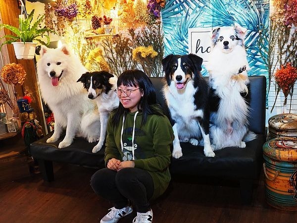 桃園中壢美食-食。光機  Food Machine-超溫馨的寵物友善餐廳，狗店長讓人流連忘返，餐點很好吃 (邀約) @民宿女王芽月-美食.旅遊.全台趴趴走