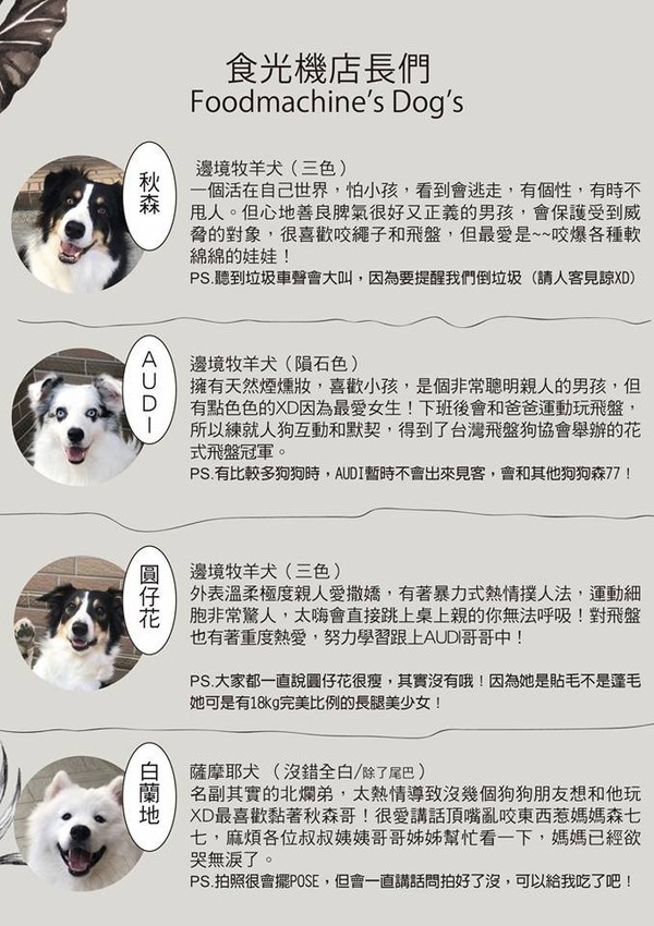 桃園中壢美食-食。光機  Food Machine-超溫馨的寵物友善餐廳，狗店長讓人流連忘返，餐點很好吃 (邀約) @民宿女王芽月-美食.旅遊.全台趴趴走