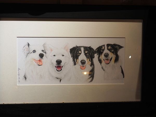 桃園中壢美食-食。光機  Food Machine-超溫馨的寵物友善餐廳，狗店長讓人流連忘返，餐點很好吃 (邀約) @民宿女王芽月-美食.旅遊.全台趴趴走