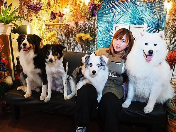 桃園中壢美食-食。光機  Food Machine-超溫馨的寵物友善餐廳，狗店長讓人流連忘返，餐點很好吃 (邀約) @民宿女王芽月-美食.旅遊.全台趴趴走