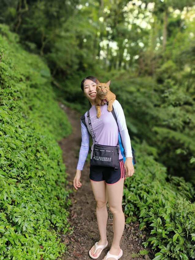 【桃園.中壢】帶貓貓去三峽雲森瀑布散步去+食光機餐廳。現做義式料理。內有超多大型狗狗。用餐中場休息可以與全部狗狗合影。可攜帶寵物但不能落地 - 南洋峇里女子SPA館