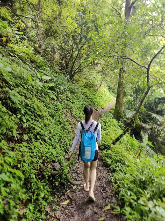 【桃園.中壢】帶貓貓去三峽雲森瀑布散步去+食光機餐廳。現做義式料理。內有超多大型狗狗。用餐中場休息可以與全部狗狗合影。可攜帶寵物但不能落地 - 南洋峇里女子SPA館
