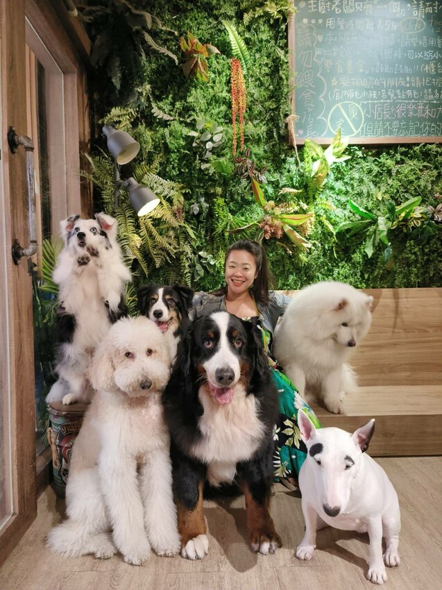 【桃園.中壢】帶貓貓去三峽雲森瀑布散步去+食光機餐廳。現做義式料理。內有超多大型狗狗。用餐中場休息可以與全部狗狗合影。可攜帶寵物但不能落地 - 南洋峇里女子SPA館