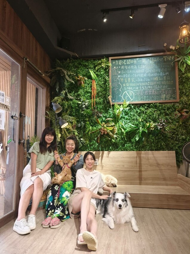【桃園.中壢】帶貓貓去三峽雲森瀑布散步去+食光機餐廳。現做義式料理。內有超多大型狗狗。用餐中場休息可以與全部狗狗合影。可攜帶寵物但不能落地 - 南洋峇里女子SPA館