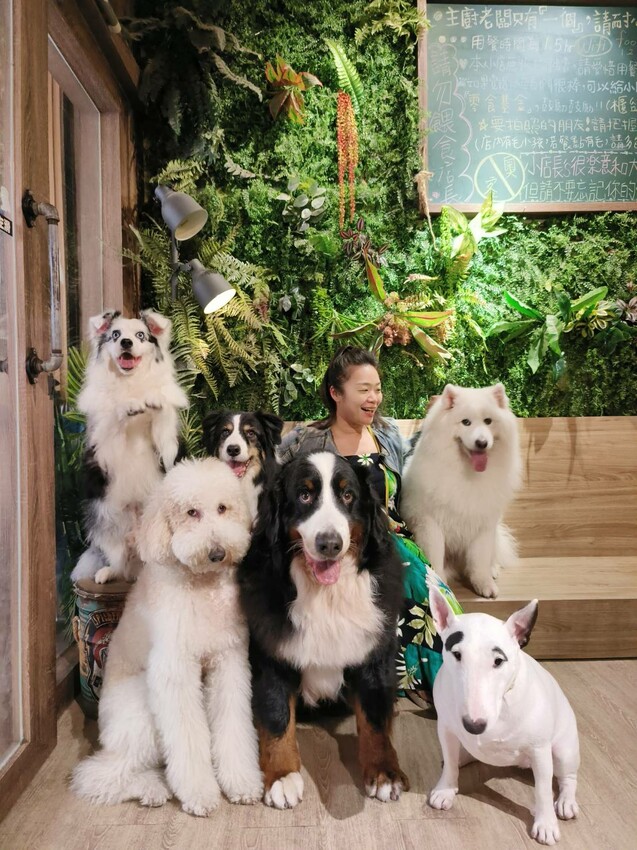 【桃園.中壢】帶貓貓去三峽雲森瀑布散步去+食光機餐廳。現做義式料理。內有超多大型狗狗。用餐中場休息可以與全部狗狗合影。可攜帶寵物但不能落地 - 南洋峇里女子SPA館