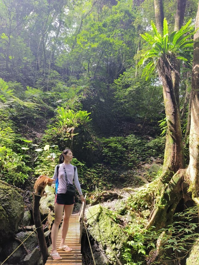 【桃園.中壢】帶貓貓去三峽雲森瀑布散步去+食光機餐廳。現做義式料理。內有超多大型狗狗。用餐中場休息可以與全部狗狗合影。可攜帶寵物但不能落地 - 南洋峇里女子SPA館