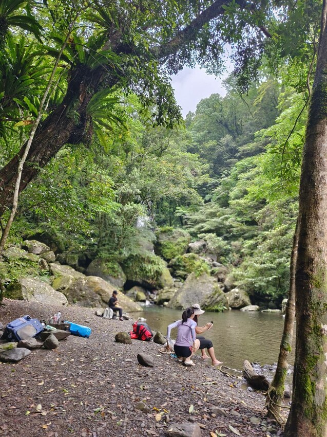 【桃園.中壢】帶貓貓去三峽雲森瀑布散步去+食光機餐廳。現做義式料理。內有超多大型狗狗。用餐中場休息可以與全部狗狗合影。可攜帶寵物但不能落地 - 南洋峇里女子SPA館