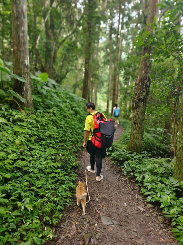 【桃園.中壢】帶貓貓去三峽雲森瀑布散步去+食光機餐廳。現做義式料理。內有超多大型狗狗。用餐中場休息可以與全部狗狗合影。可攜帶寵物但不能落地 - 南洋峇里女子SPA館