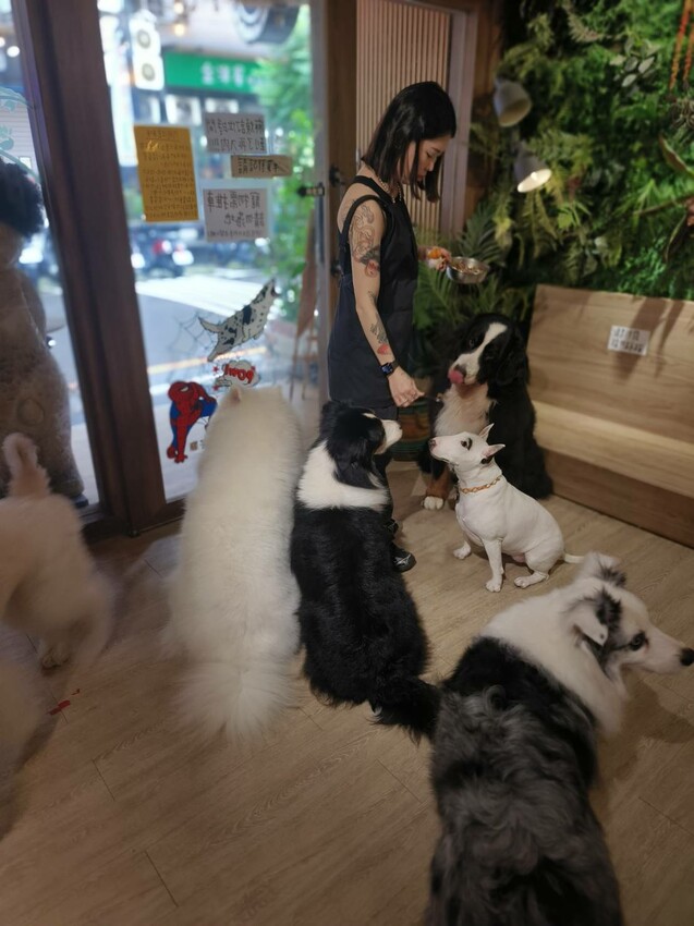 【桃園.中壢】帶貓貓去三峽雲森瀑布散步去+食光機餐廳。現做義式料理。內有超多大型狗狗。用餐中場休息可以與全部狗狗合影。可攜帶寵物但不能落地 - 南洋峇里女子SPA館