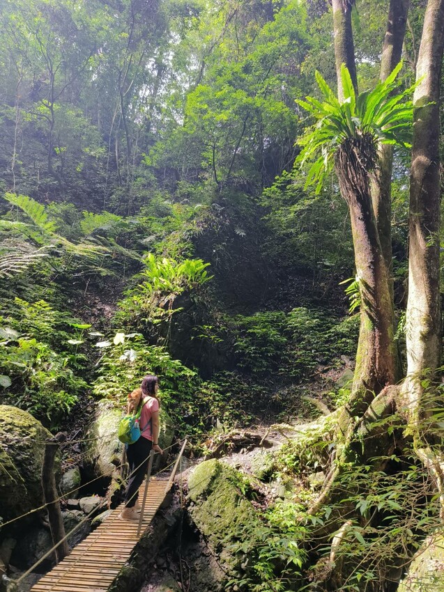 【桃園.中壢】帶貓貓去三峽雲森瀑布散步去+食光機餐廳。現做義式料理。內有超多大型狗狗。用餐中場休息可以與全部狗狗合影。可攜帶寵物但不能落地 - 南洋峇里女子SPA館