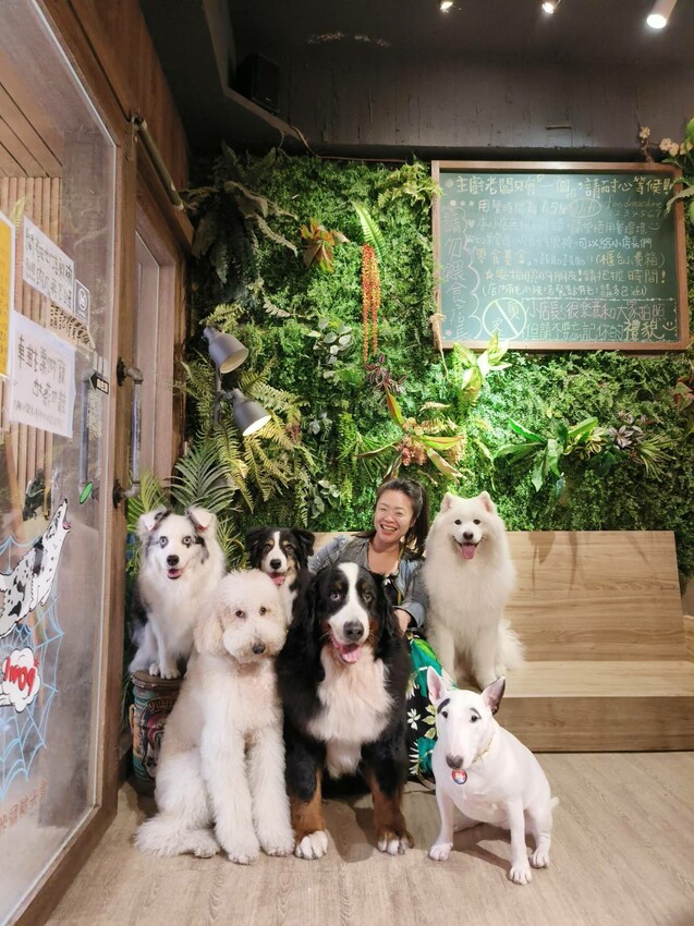 【桃園.中壢】帶貓貓去三峽雲森瀑布散步去+食光機餐廳。現做義式料理。內有超多大型狗狗。用餐中場休息可以與全部狗狗合影。可攜帶寵物但不能落地 - 南洋峇里女子SPA館