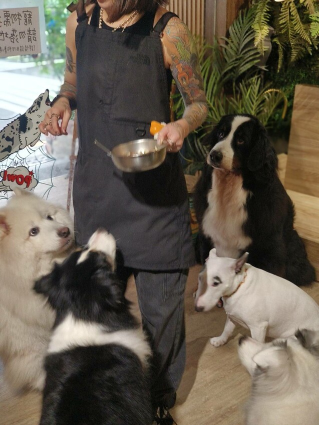 【桃園.中壢】帶貓貓去三峽雲森瀑布散步去+食光機餐廳。現做義式料理。內有超多大型狗狗。用餐中場休息可以與全部狗狗合影。可攜帶寵物但不能落地 - 南洋峇里女子SPA館