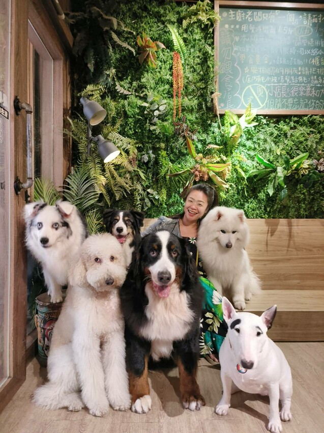 【桃園.中壢】帶貓貓去三峽雲森瀑布散步去+食光機餐廳。現做義式料理。內有超多大型狗狗。用餐中場休息可以與全部狗狗合影。可攜帶寵物但不能落地 - 南洋峇里女子SPA館