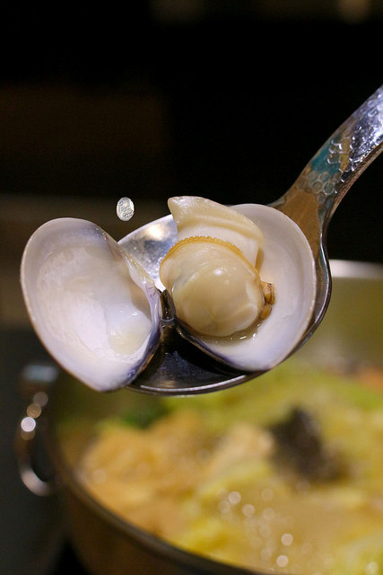 De loin/ Kate's FZ De loin/ Kate's FZ