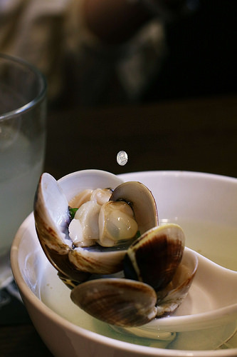 御持成/Kate's FZ 御持成/Kate's FZ