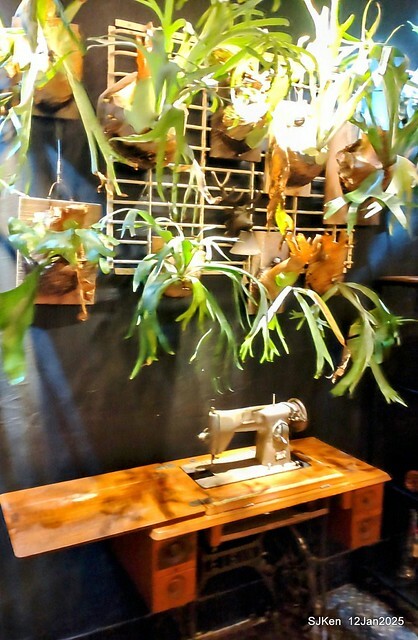 「給冷鴿手工甜點」(Desserts and coffee house), Taipei, Taiwan, SJKen , Jan 12, 2025. 「給冷鴿手工甜點」(Desserts and coffee house), Taipei, Taiwan, SJKen , Jan 12, 2025.