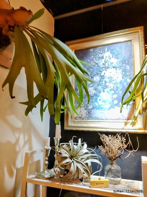 「給冷鴿手工甜點」(Desserts and coffee house), Taipei, Taiwan, SJKen , Jan 12, 2025. 「給冷鴿手工甜點」(Desserts and coffee house), Taipei, Taiwan, SJKen , Jan 12, 2025.