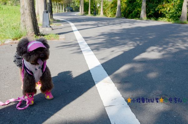 DSC_0377.JPG DSC_0377.JPG