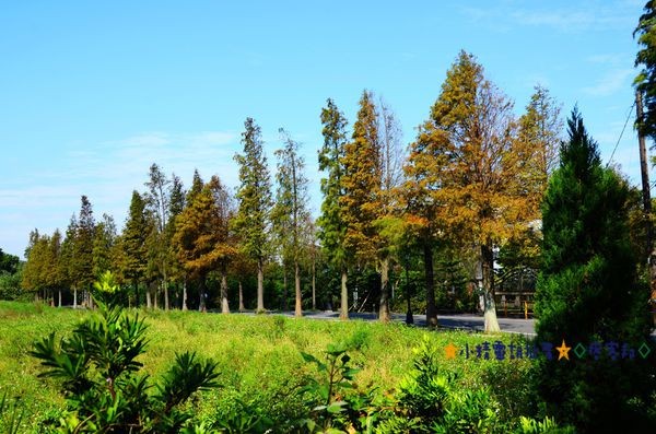 DSC_0371.JPG DSC_0371.JPG