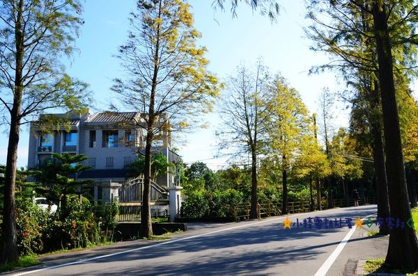 DSC_0353.JPG DSC_0353.JPG