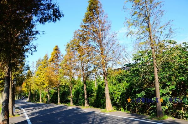 DSC_0355.JPG DSC_0355.JPG