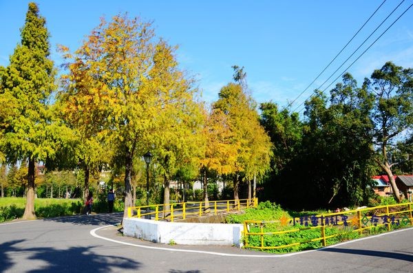 DSC_0357.JPG DSC_0357.JPG