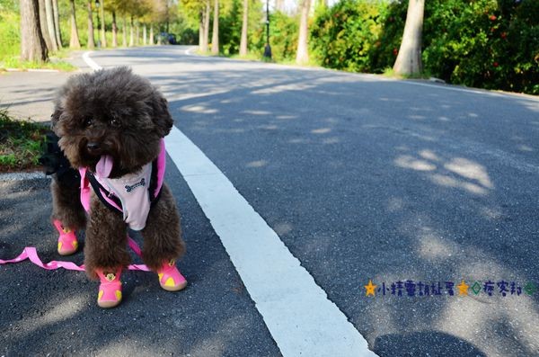 DSC_0380.JPG DSC_0380.JPG