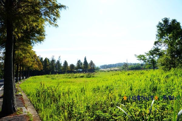 DSC_0350.JPG DSC_0350.JPG