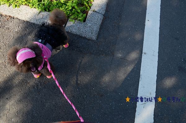 DSC_0376.JPG DSC_0376.JPG