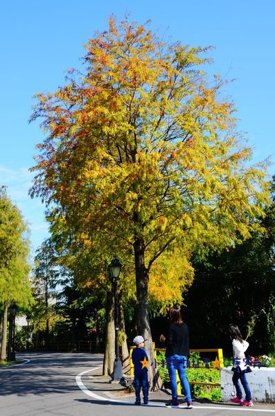 DSC_0367.JPG DSC_0367.JPG