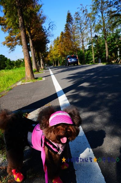 DSC_0373.JPG DSC_0373.JPG