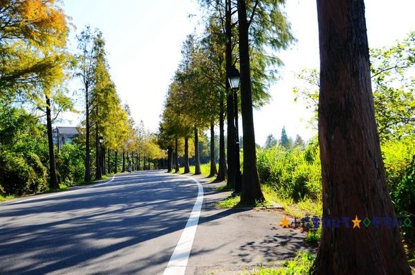 DSC_0347_副本.jpg DSC_0347_副本.jpg