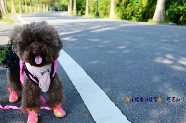 DSC_0384.JPG DSC_0384.JPG