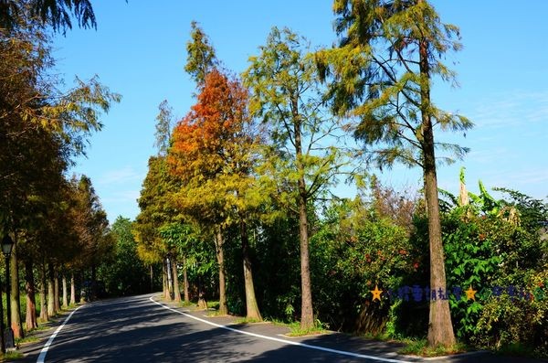 DSC_0387.JPG DSC_0387.JPG