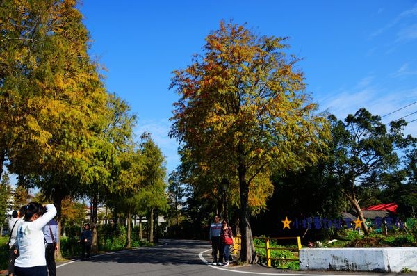 DSC_0363.JPG DSC_0363.JPG