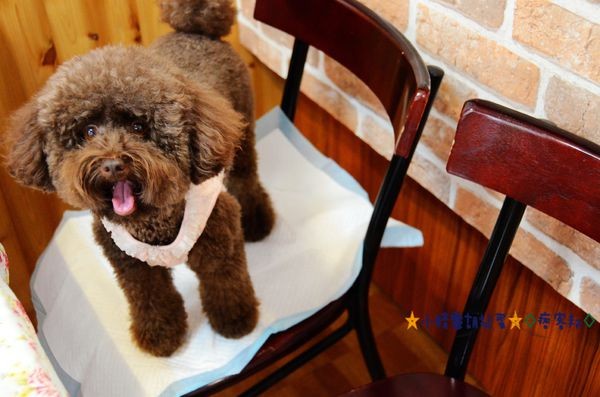 7苿莉廚房 (12).JPG