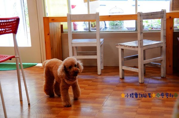 7苿莉廚房 (31).JPG