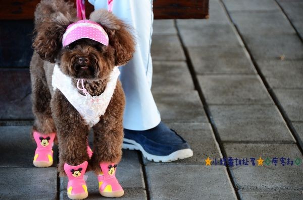 6冬山車站 (35).JPG