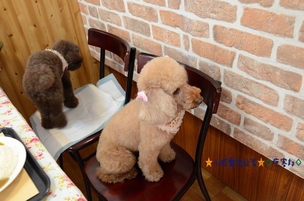 7苿莉廚房 (8).JPG