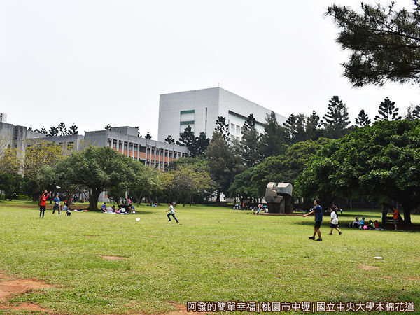 中央大學木棉花道25-大草皮上嬉戲的親子們.JPG