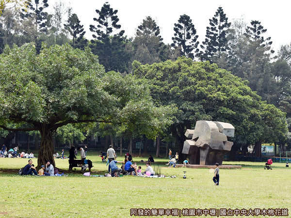 中央大學木棉花道26-大草皮上野餐的親子們.JPG