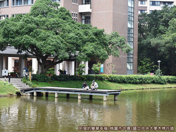 中央大學木棉花道22-湖畔一景.JPG