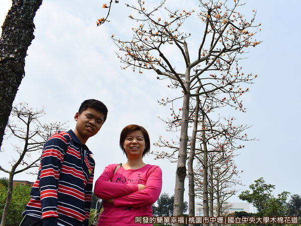 中央大學木棉花道07-木棉花樹下留影.JPG