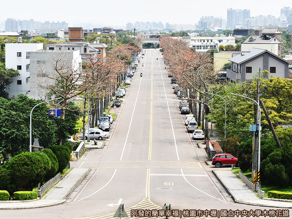中央大學木棉花道12-中央大學門前的視角.JPG