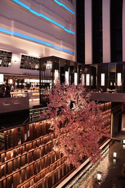 DSC02748.JPG DSC02748.JPG